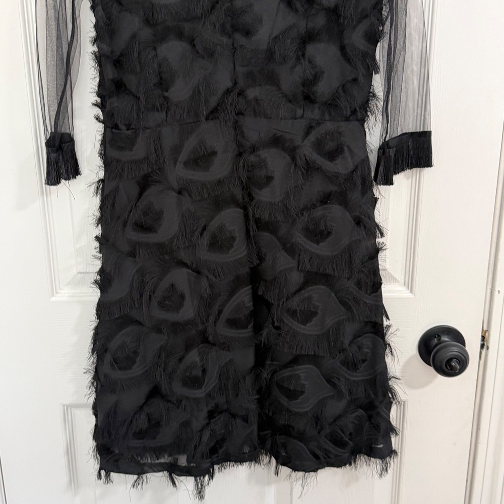 Whimsigoth Dress Womens XS Black Eyelash Fringe Mesh Yoke Cocktail LBD Gothic - Picture 5 of 10